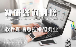 智研排行榜 洞察地區(qū)經(jīng)濟、行業(yè)與產(chǎn)品趨勢的信息技術(shù)咨詢服務(wù)